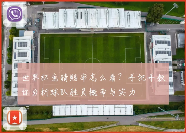 世界杯竞猜赔率怎么看？手把手教你分析球队胜负概率与实力